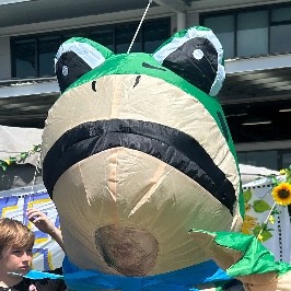 Mad as a Box of Frogs