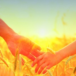 Palliative Care Enhancement Council