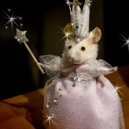 Princesses In Sweats II